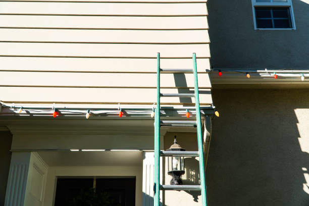 Best Insulated Siding Installation  in USA